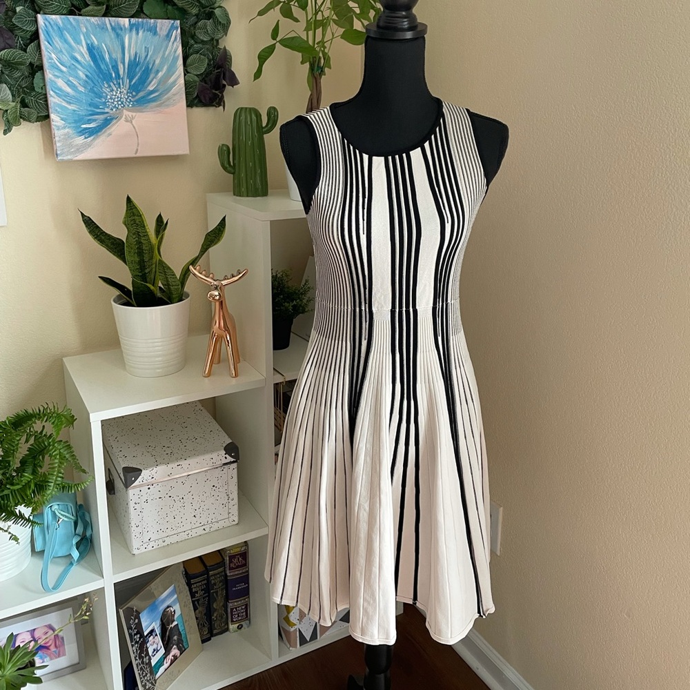 Catherine Stripe Dress